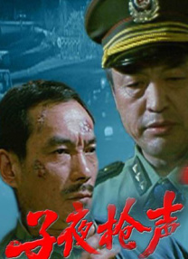 年轻的秘书hd