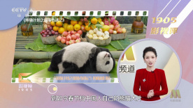 久久久一区二区三区不卡